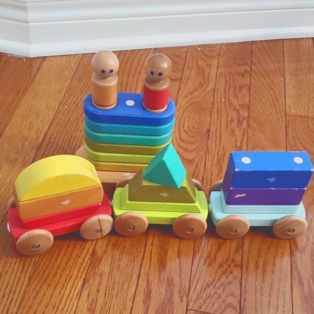 Tegu blocks